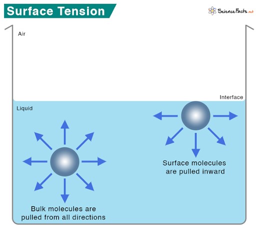 Surface Tension.jpg